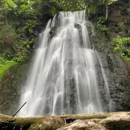 Chalet, Murat (Cantal)