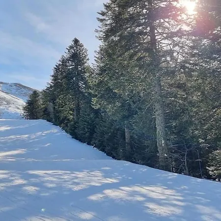 Nyaraló Chalet, *