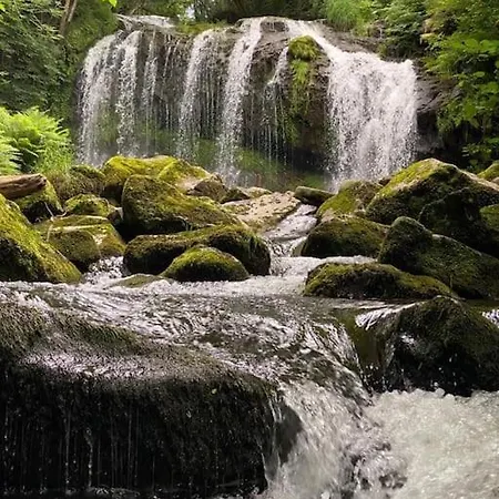 Hébergement de vacances Chalet,