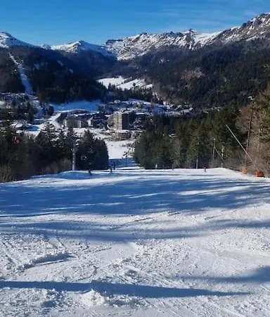 Chalet, Hébergement de vacances Murat (Cantal)
